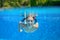 Happy active underwater child swims in pool