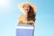 Happy active woman with plastic cooler box against blue sky