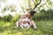 Happy adorable chubby baby girl sitting on the grass with her daughter sister