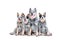 Happy adult blue heeler or australian cattle dog with puppies sitting isolated