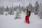 Happy adventurer in snowshoes stands among huge pine trees