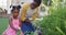 Happy african american mother and daughter gardening, planting and watering plants in garden