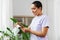 Happy african american woman cleaning houseplant