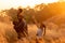 Happy African family father mother and child daughter travel and running on meadow nature on silhouette lights sunset.