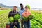 Happy agricultural workers posing with harvested lettuce on field