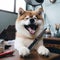 happy Akita dog doing Haircut of with hair scissors from a grooming salon by AI generated