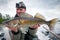 Happy angler with big zander