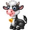 Happy animal baby cow in a sitting posing