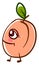 Happy apricot, illustration, vector