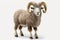 Happy Aries Ram Character in High Resolution for Posters and Web.