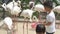 Happy of asian child is feeding food flamingo in zoo with excited, boy to travel for activity in summer