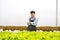 Happy asian farmer in the farm salad producing garden hydroponically without soil agricultural in the greenhouse organic for