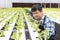 Happy asian farmer in the farm salad producing garden hydroponically without soil agricultural in the greenhouse organic for