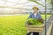 Happy Asian farmer gardener woman hand hold basket of fresh green organic vegetable in greenhouse hydroponic organic farm,Small