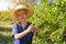 Happy Asian female gardeners harvesting organic fresh green lime in the gardens