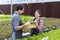 Happy Asian local farmer testing ph level of the water in the green oak salad lettuce greenhouse using hydroponics system in