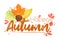 Happy Autumn - Fall typography quotes with autumns elements. Vector quotes with autumns leaves, forest nuts, and berries.