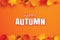 Happy autumn paper art style with leaves hanging on orange background. Use for greeting card or invitation