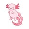 Happy axolotl swimming cartoon vector illustration