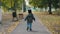 Happy baby boy running in autumnal park. Little child playing on autumn walk. Autumnal forest with golden leaves