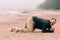 Happy bearded man crawling on all fours the beach