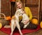 Happy beautiful woman with husky puppy with autumn harvest on a brick wall background