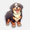 Happy Bernese Mountain Dog Sticker In Colored Cartoon Style