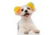 Happy bichon dog wearing colorful fluffy balls