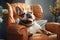 Happy big english bulldog sitting in a leather armchair with a pillow