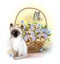 Happy birday card. Siamese kitten, butterfly and basket with violets.