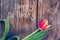 Happy Birthday: Arrangement of colorful tulips on a rustic wooden table, â€œHappy Birthday