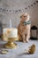 Happy birthday card. Cute cate with bow tie sitting near the festive cake on gray background. Pet shop, event agency, poster