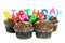Happy Birthday Chocolate Cupcakes on White