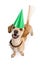 Happy Birthday Dog Wagging Tail