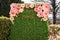 Happy birthday floral hedge wall board backdrop