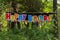 Happy Birthday sign panorama in the outdoor trees with balloons and ribbons to celebrate and party for a child`s birthday