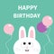 Happy Birthday. White bunny rabbit face. Pet collection. Hare looking up.