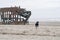 Happy black labrador retreiver runs on the beach, next to the shipwreck - wreck of the Peter