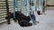 Happy body positive mixed raced woman in black doing stretching exercise on hammocks. Boby positve, open mind, sport