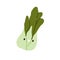 Happy bok choy character. Cute funny vegetable, smiling face expression, positive joyful emotion. Amusing Chinese