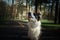 Happy Border Collie Dog Enjoying Nature Walk amidst Lush Greenery and Trees