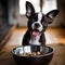 A happy Boston Terrier dog puppy eagerly eating its kibble from a bowl by AI generated