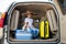 Happy boy in a cowboy hat and puppy jack russell terrier travel by car. A child and a funny little dog are sitting in