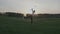 Happy boy golfer. Cheerful junior boy on the golf course at sunset