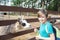 a happy boy in a petting zoo stands at the fence with a llama, feeds the animal.