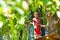 Happy boy stand on tree platform at rope park