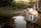 Happy boys go fishing on the river, Two children of the fisherman with a fishing rod on the shore of lake