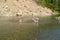 Happy boys are playing in the mountain river. They create a lot of splashes