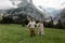 happy bride and groom holding hands and walking on alpine meadow