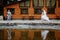 Happy bride runs to a groom along a little lake